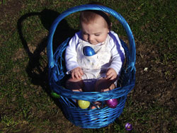 Kenji in an Easter basket.