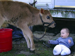 Mooser and Kenji examine each other.