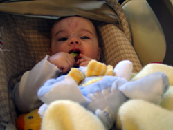 Kenji chomps on a celery stick.