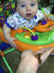 Mommy holds a newt up for Kenji to see.