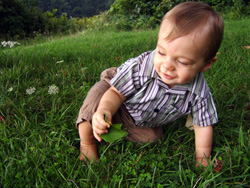 Kenji grabs a leaf.