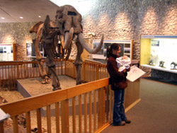 Sam and Kenji in front of a mastodon skeleton