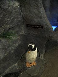 Penguin Statue